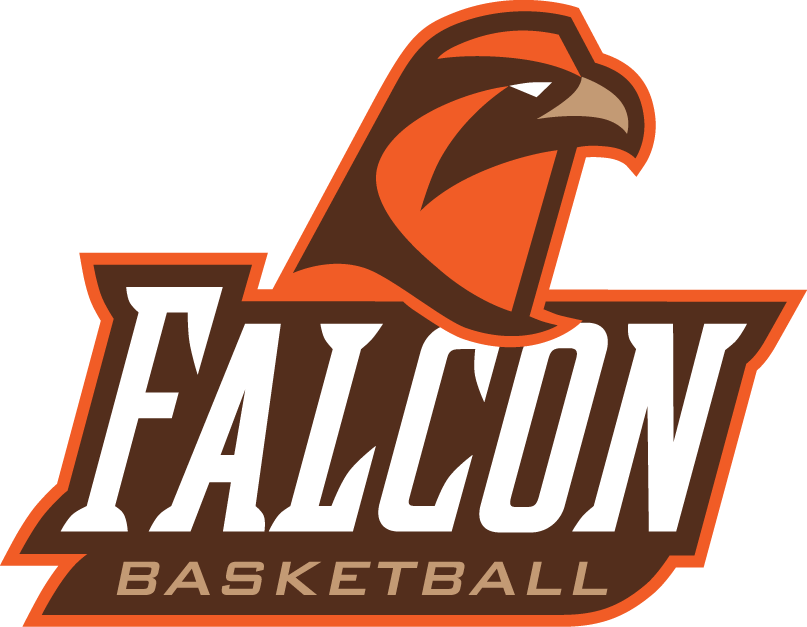 Bowling Green Falcons 2006-Pres Alternate Logo v2 iron on transfers for fabric